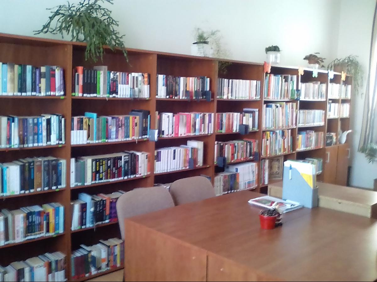 Beregdaróc Könyvtár, Információs és Közösségi Hely