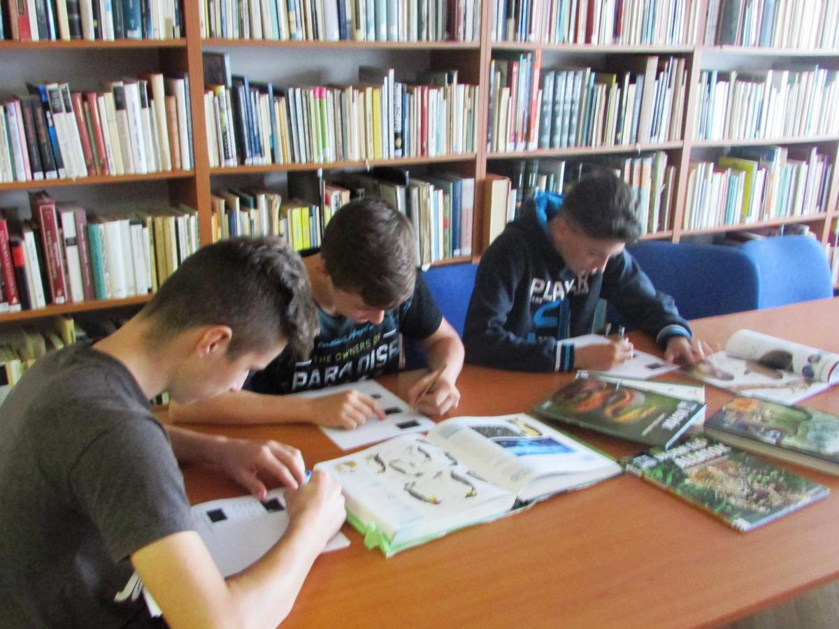 Nyírbogát Könyvtár, Információs és Közösségi Hely 